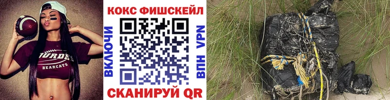 Купить закладки  Новозыбков  COCAIN 99% 