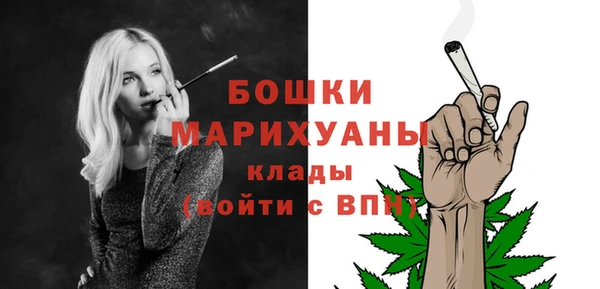 ешки Ельня