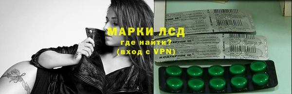 ешки Ельня