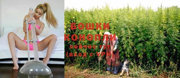 ешки Ельня
