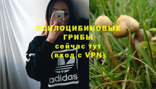 а пвп мука Елабуга