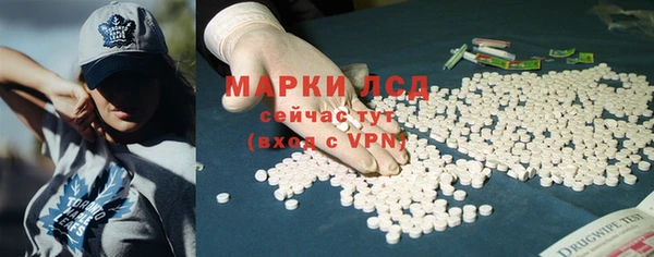 ешки Ельня