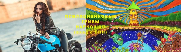ешки Ельня