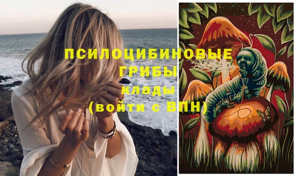 ешки Ельня