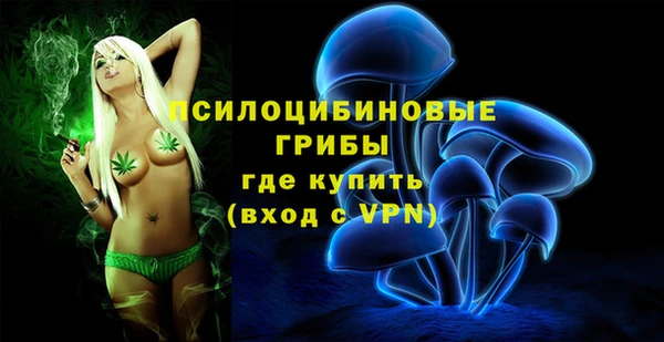 ешки Ельня