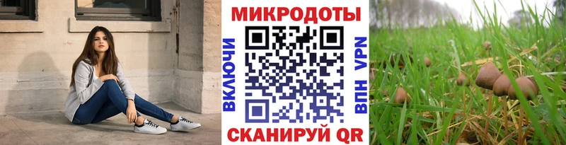 Галлюциногенные грибы Magic Shrooms  Купить где  Новозыбков 